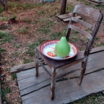 Strange fruit in a garden close to Sala Anouxa Guesthouse