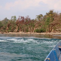 Rapids on the way back to our bicycles