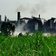 Steaming plant between Mazatenango and Tulate