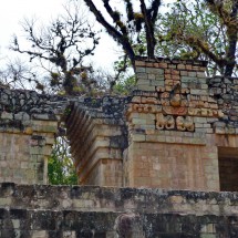 Side wall of the Pelote place with a head of a Macaw