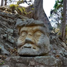 Old Man&#039;s Head