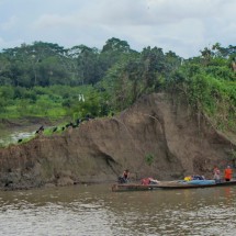 Life on Rio Ucayali with some vultures and herons