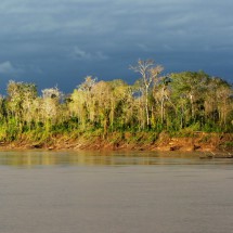 Shore at sunset