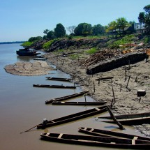 Wood is one of the main trading subject