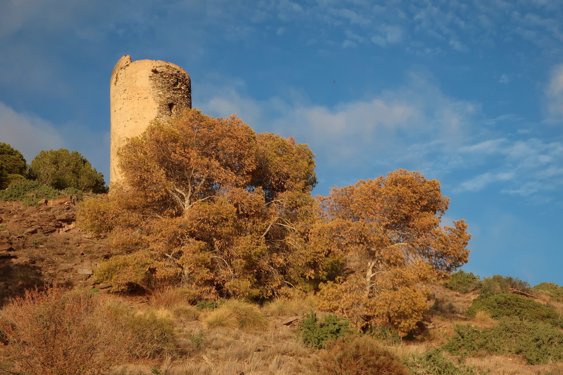Tower Torre de Melicena
