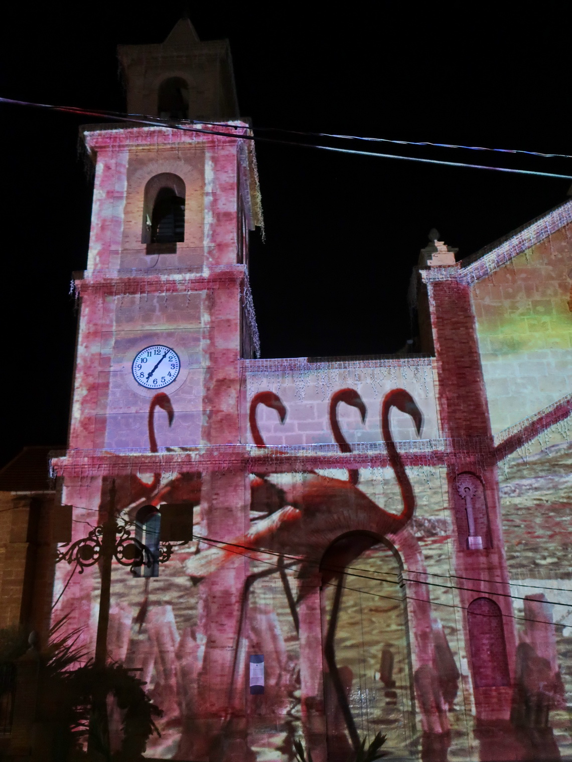 Flamingos on the church