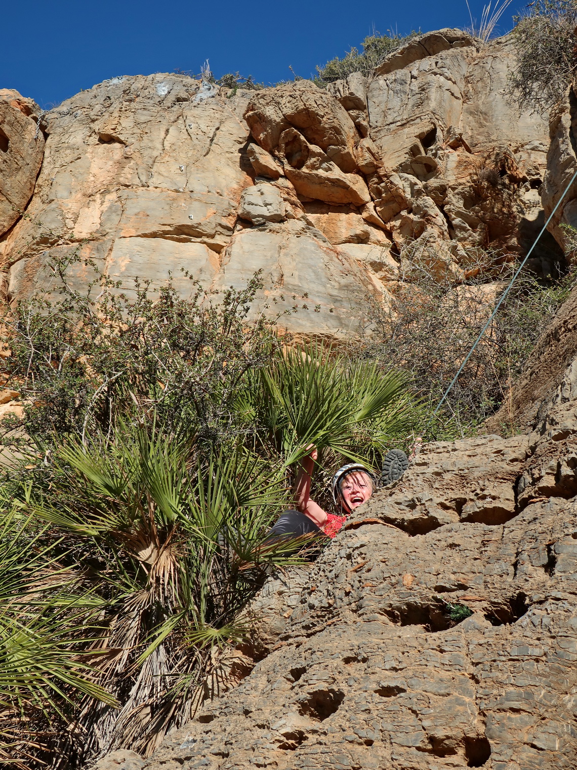 Marion in the shrubbery due to too fast abseiling