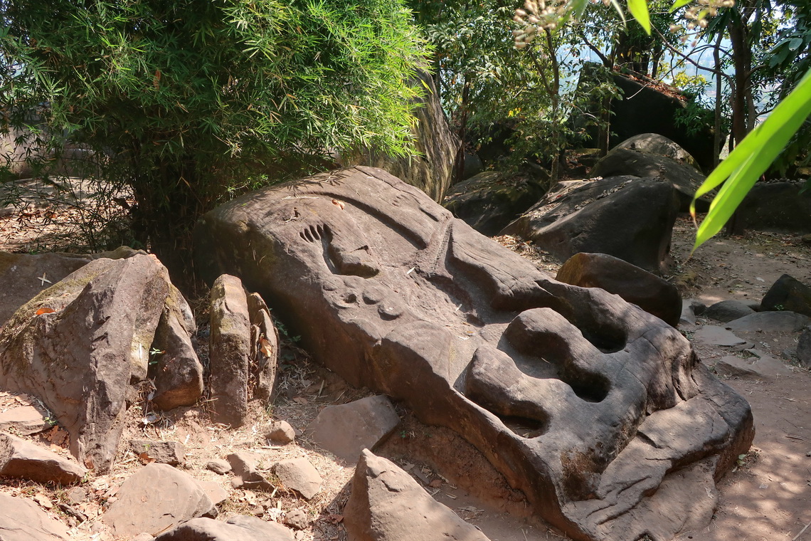Crocodile of Wat Phou