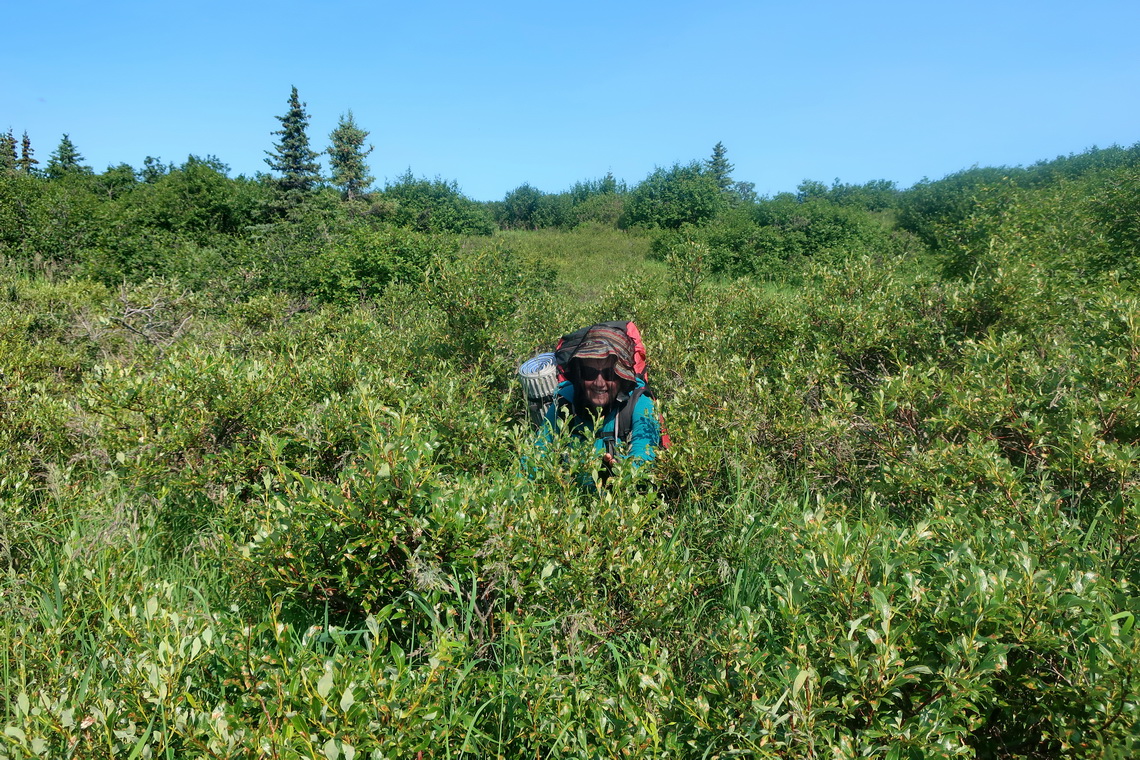 Tough work in the shrubbery of unit 36