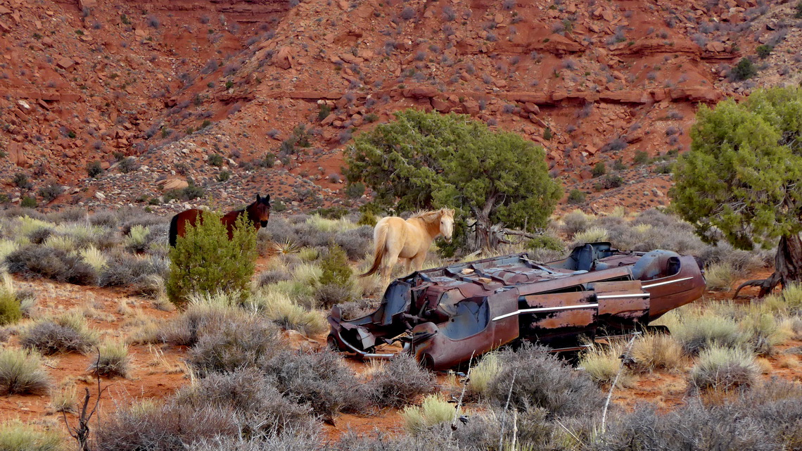 Broken car with horses seen on Lee Cly Trail