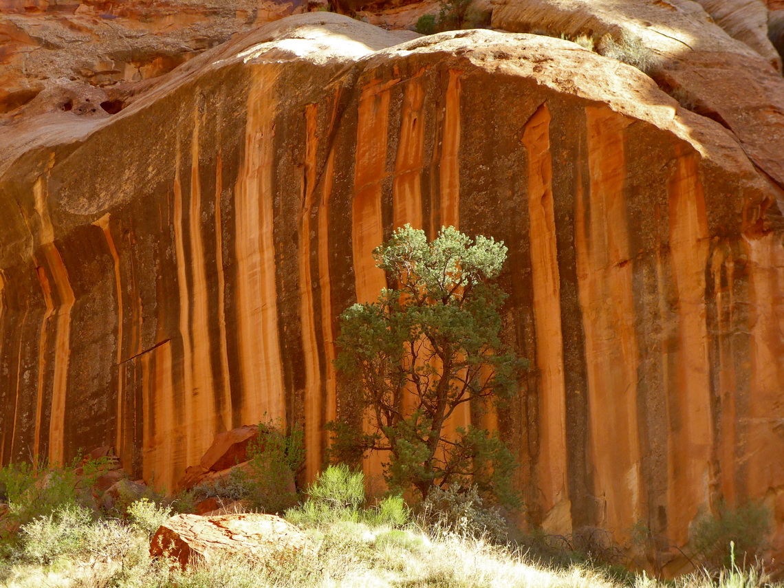 Water strips in the Capitol Gorge