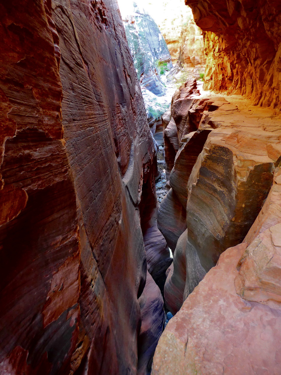 Gorge on the way to Observation Point