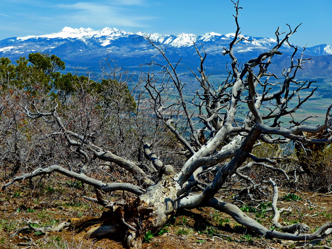 Snowy mountains seen from the summit of 2569 meters high Point Lookout