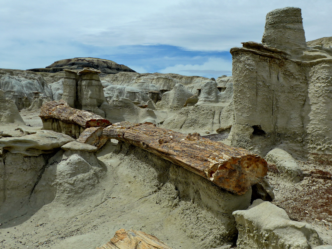 Broken petrified log