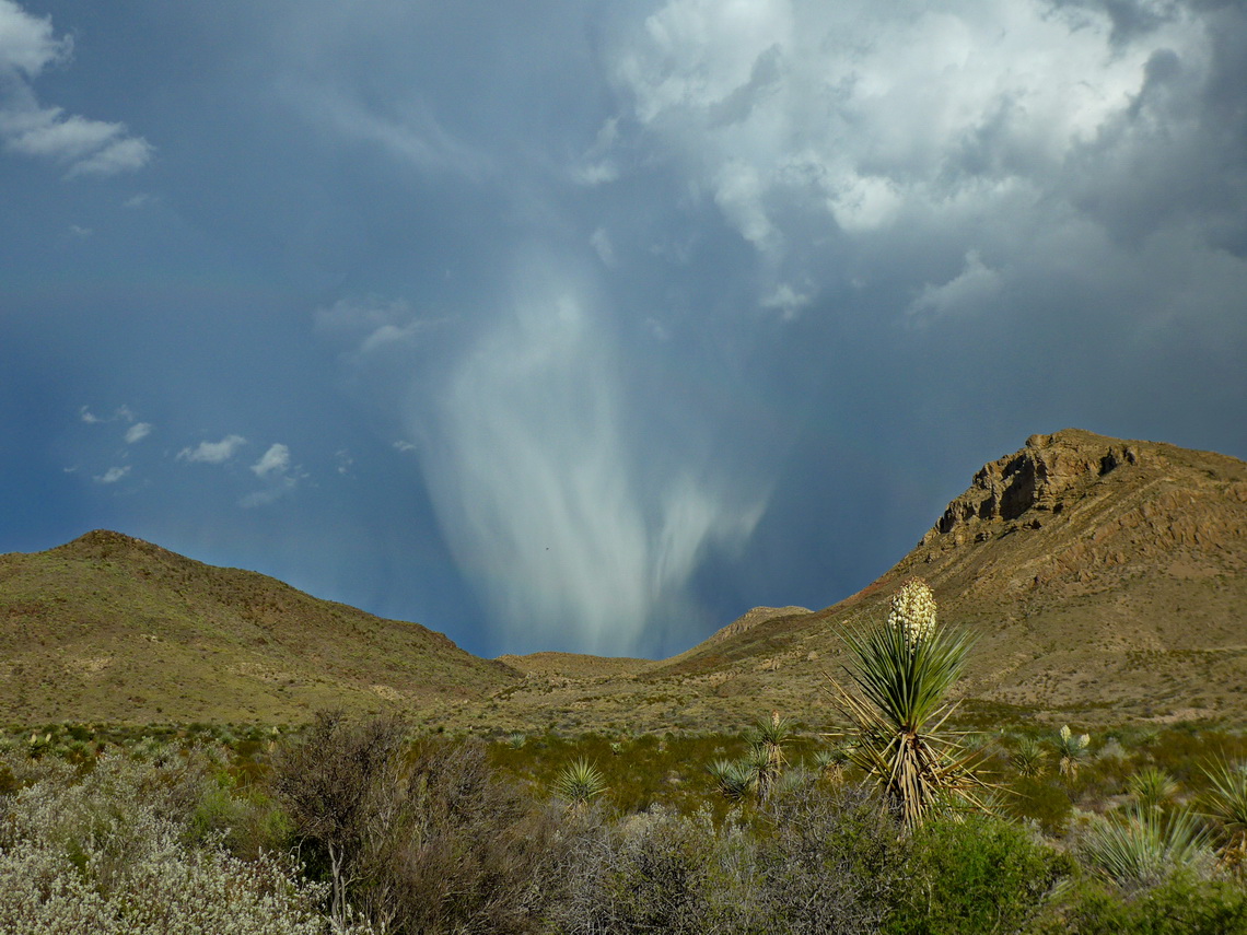 Nice clouds with Yucca