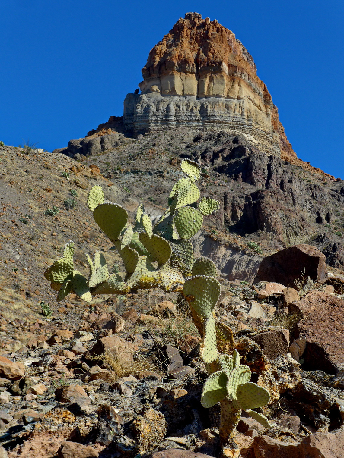 Colorful Goat Mountain on the Ross Maxwell Scenic Drive