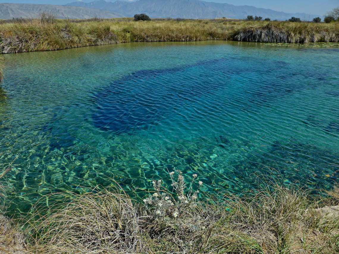 Poza Azul