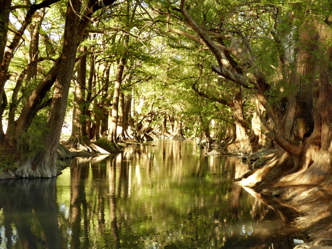 The river coming out of Lago de Camécuaro