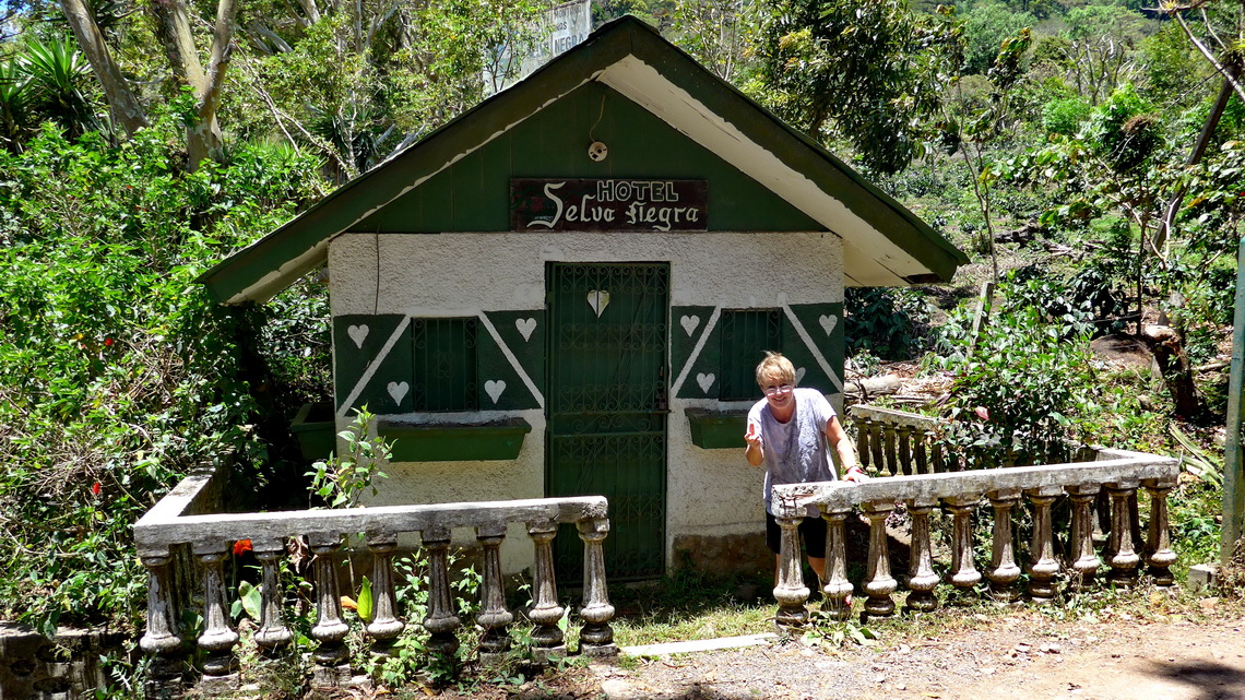 Black Forest hut opposite of the tank