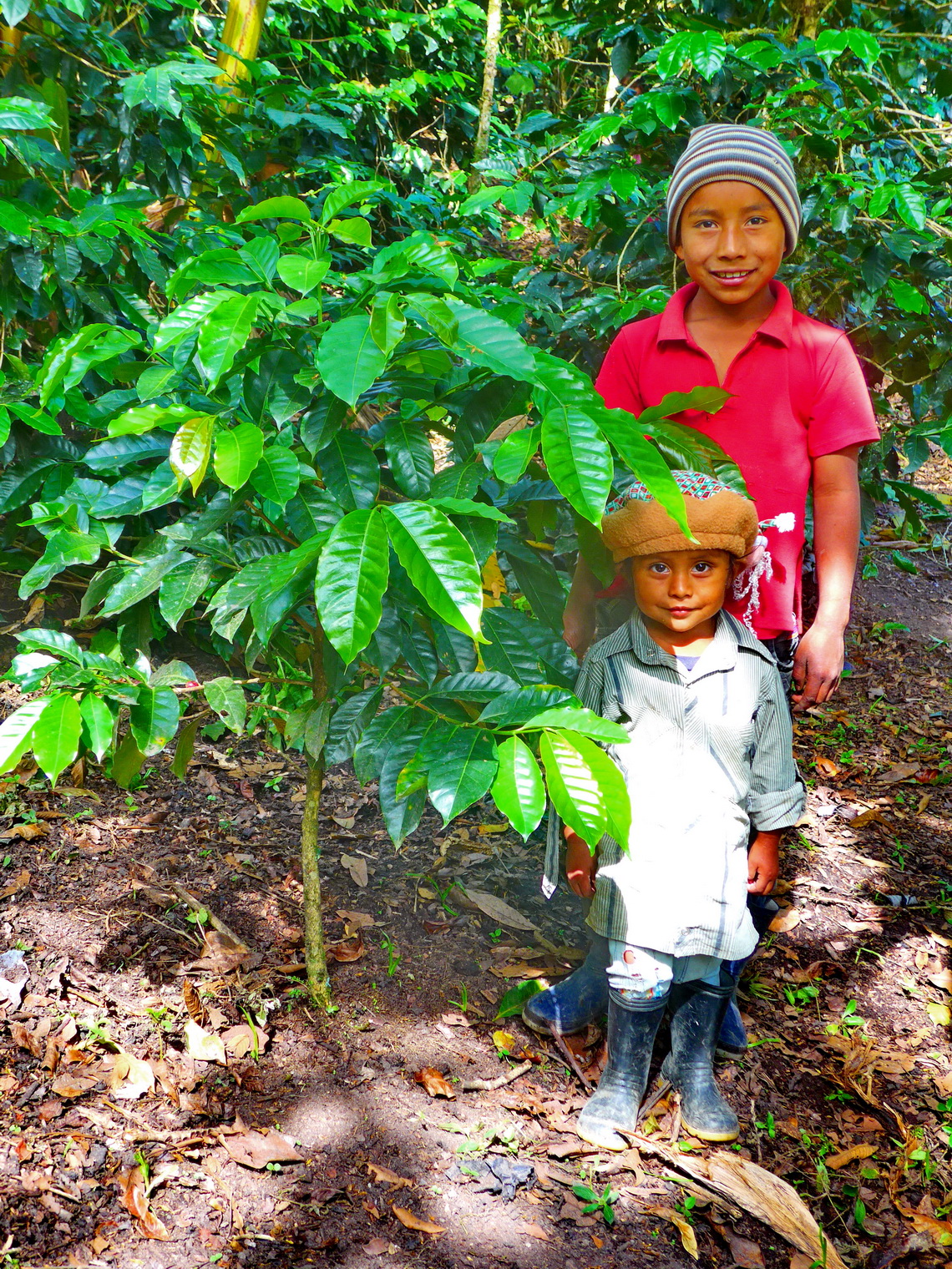 Two kids with Coffee plants on the trail between Alto de San Andres and El Aguacate to the tombs of Tierradentro