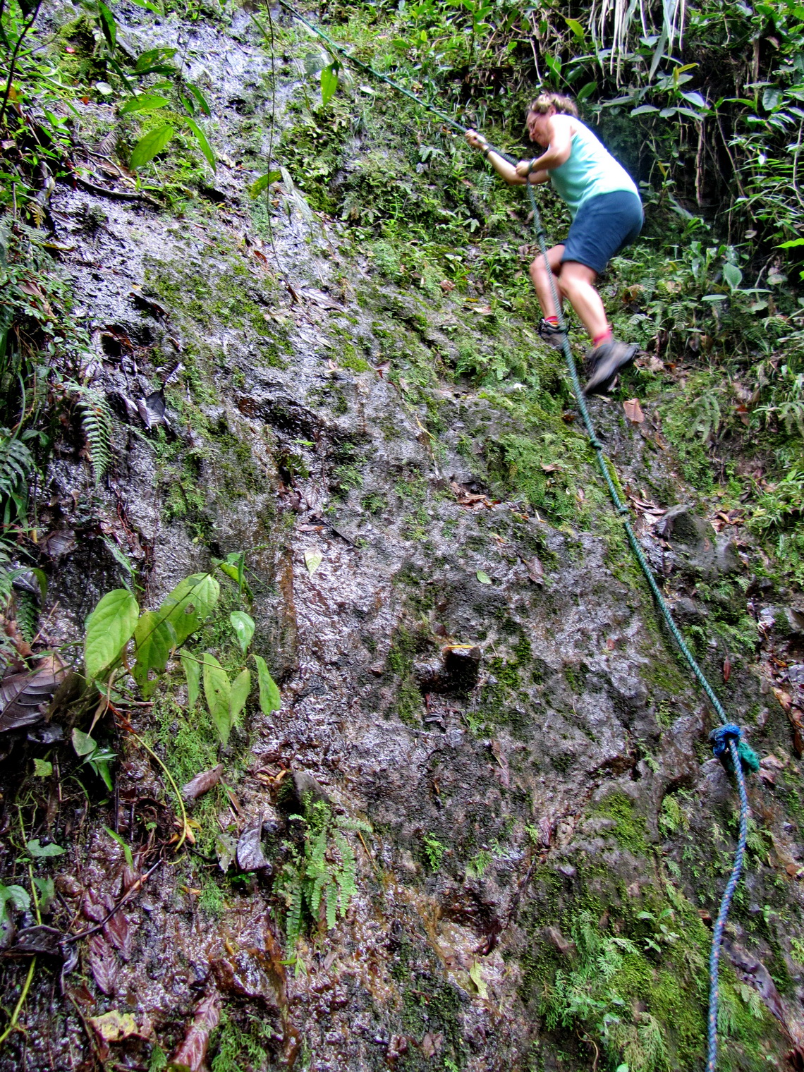 Viola climbing in the jungle