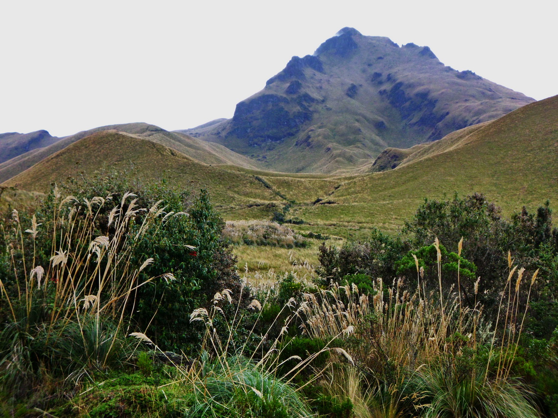 Pico Fuya Fuya seen from Laguna de Mojanda