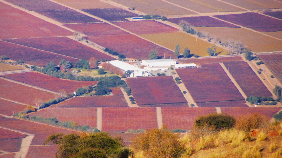 Winery seen from Cerro San Isidro