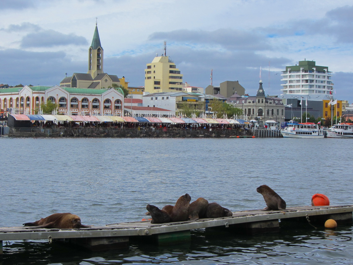 Waterfront of Valdivia