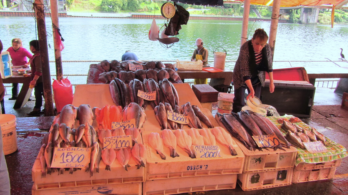 Market of Valdivia