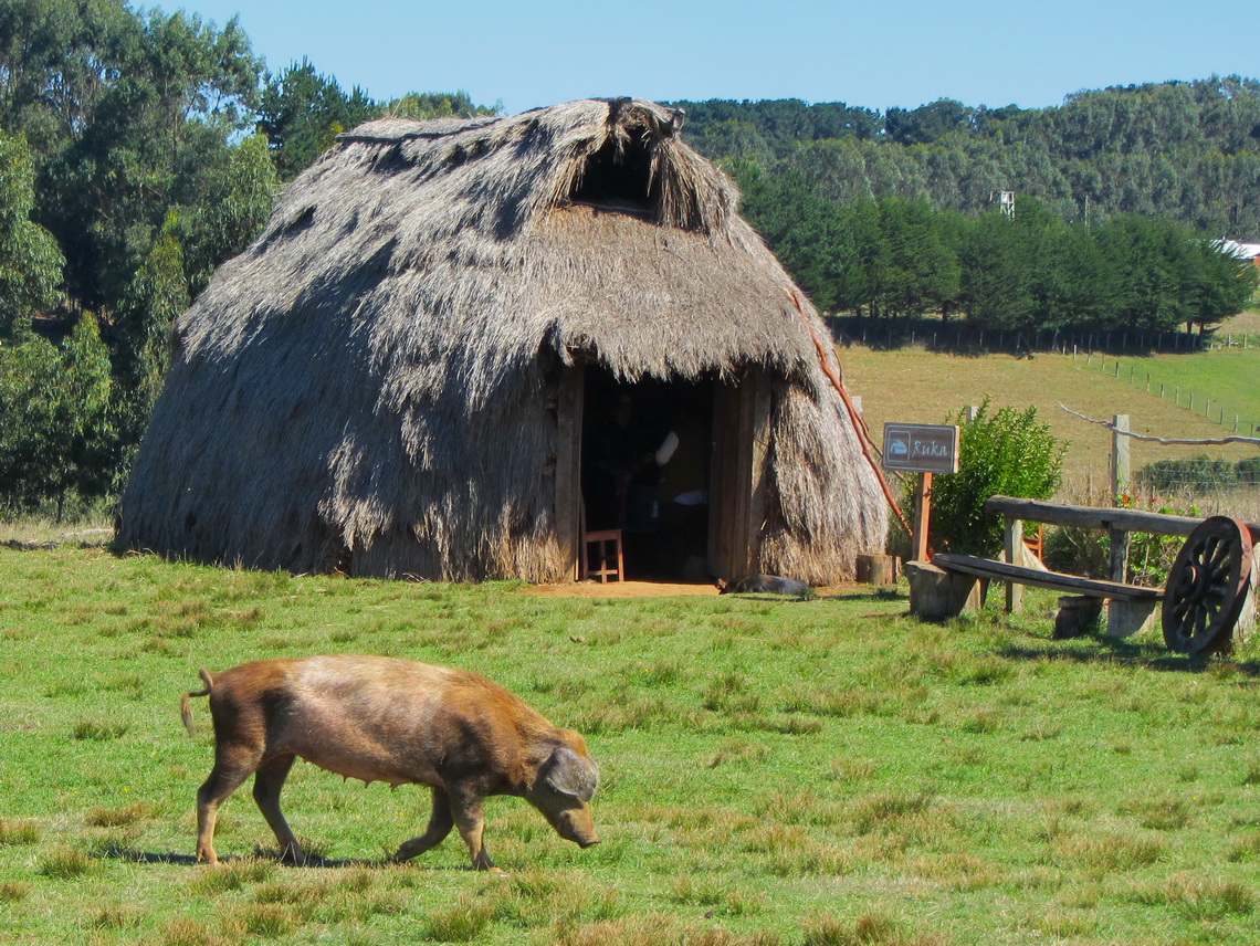 Replica of an original Mapuche living house