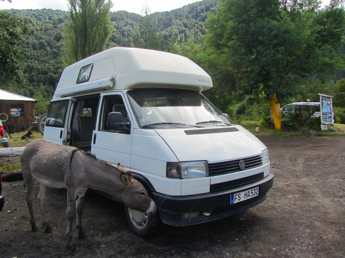 Did our car smell good?