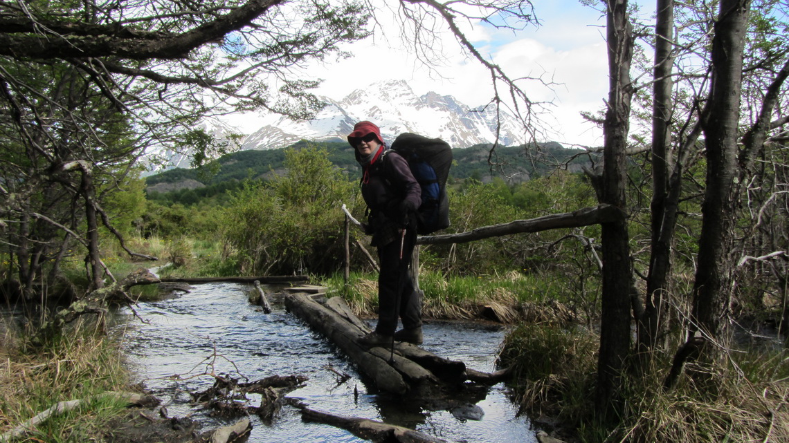 Typical way in the valley of Rio Paine 