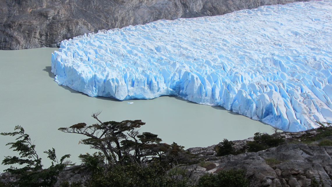 Tongue of Glaciar Grey