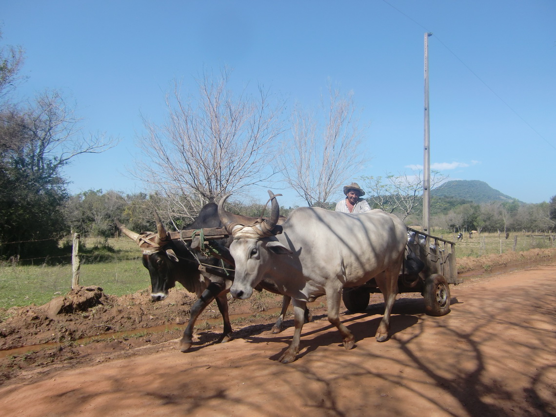 Ox cart in the Yvytyruzu sanctuary