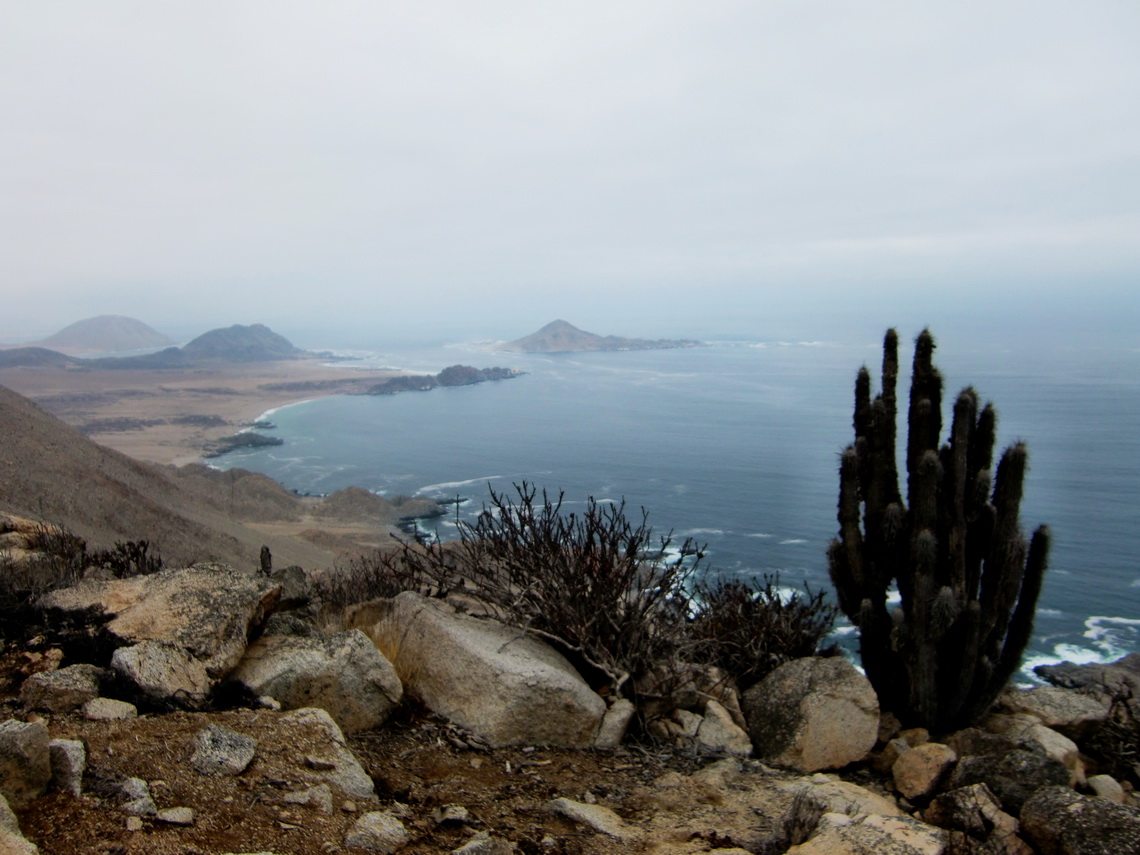 View from the Mirador, the island Pan de Azucar is in the center